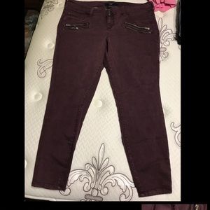 Torrid Denim Jeggings w/Zippers